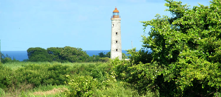 Discover hidden island treasures Discover hidden island treasures