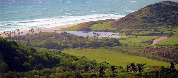 Experience the thrill of amazing views Experience the thrill of amazing views