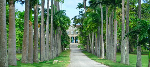 Codrington College, Barbados