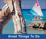 Great Things To Do In Barbados