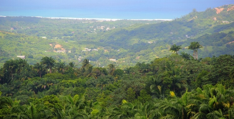 View from the lookout point View from the lookout point